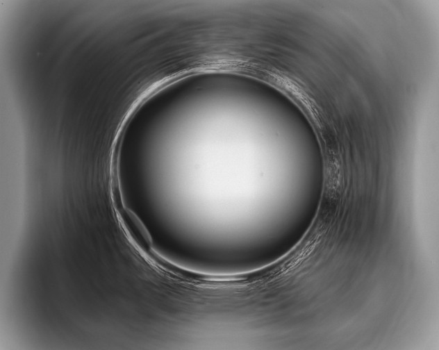 X0000096991487200802081417