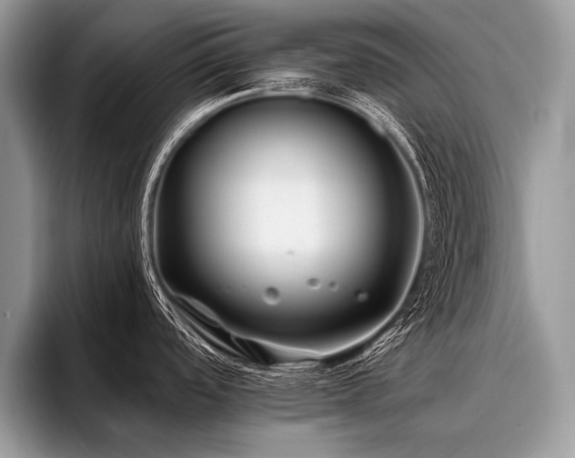 X0000096991488200802081417