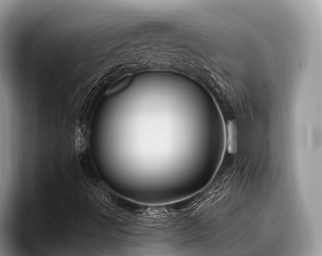 X0000096991491200802081417