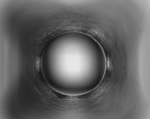 X0000096991492200802081417