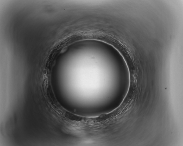 X0000096991493200802081417