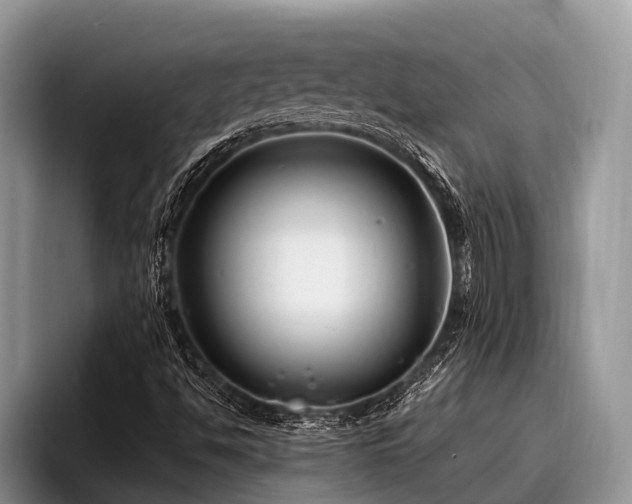 X0000096991494200802081417