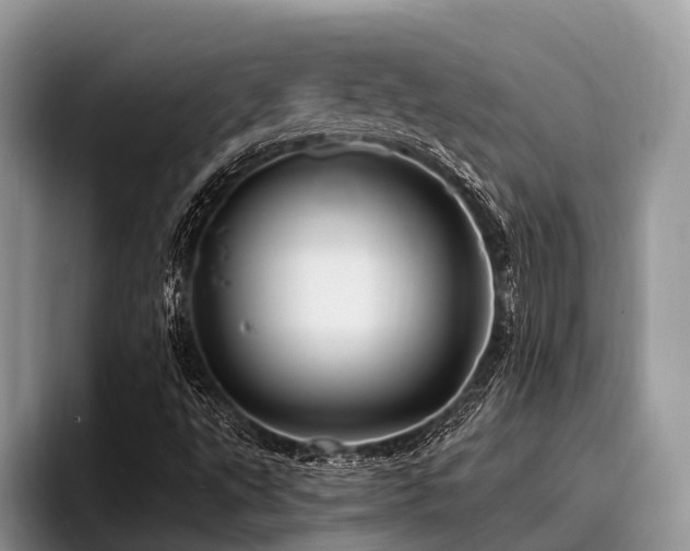 X0000096991495200802081417