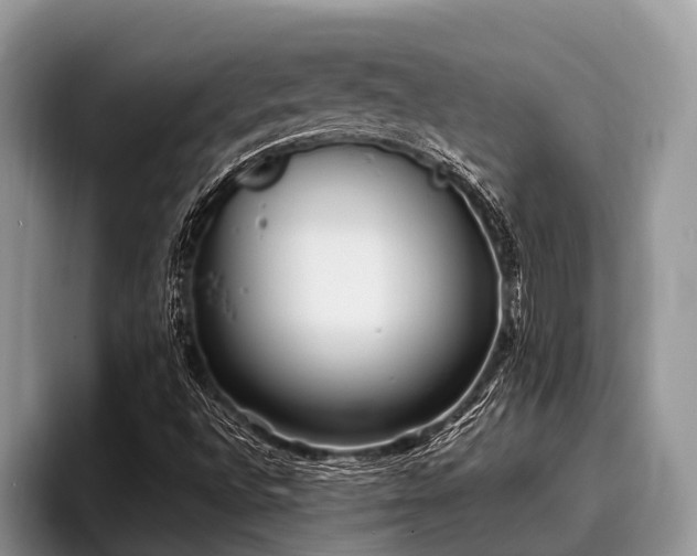 X0000096991496200802081417