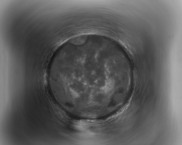 X0000096991497200802081417