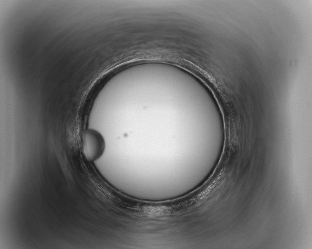 X0000096991498200802081417