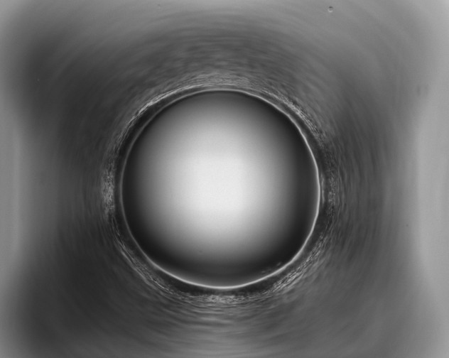 X0000096991499200802081417