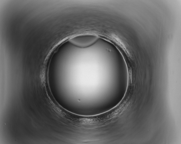 X0000096991500200802081417