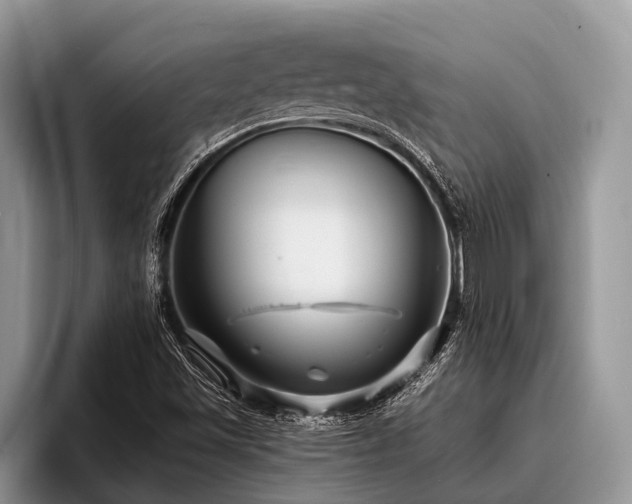 X0000096991501200802081417