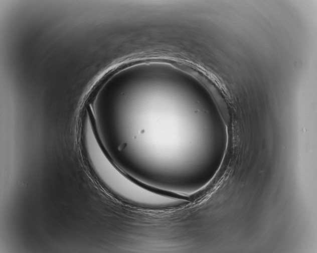 X0000096991502200802081417