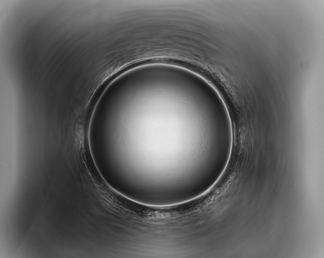 X0000096991505200802081417
