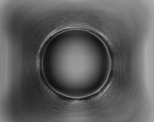 X0000096991506200802081417