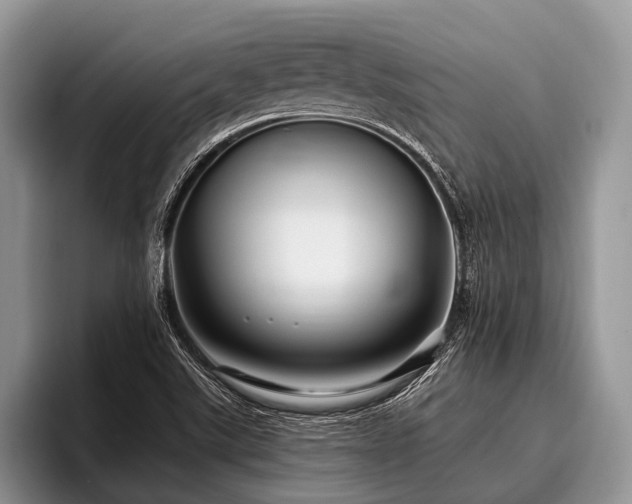 X0000096991507200802081417