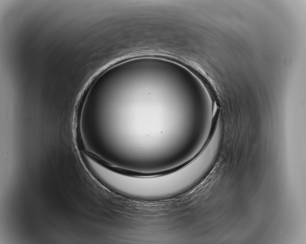 X0000096991508200802081417