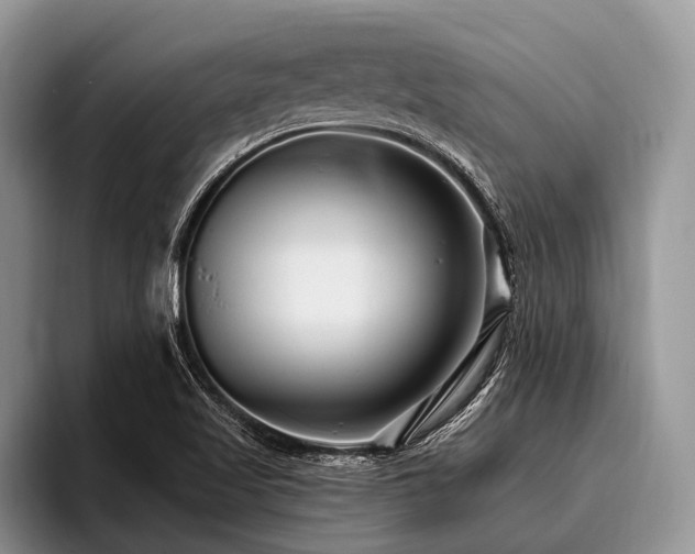 X0000096991509200802081417