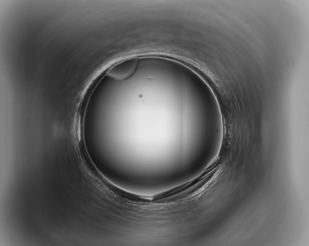 X0000096991510200802081417