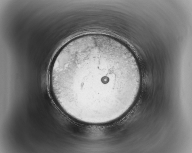 X0000096991514200802081417