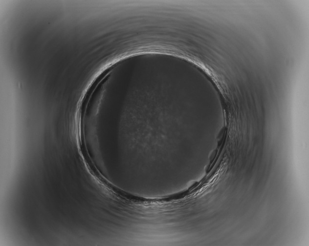 X0000096991515200802081417