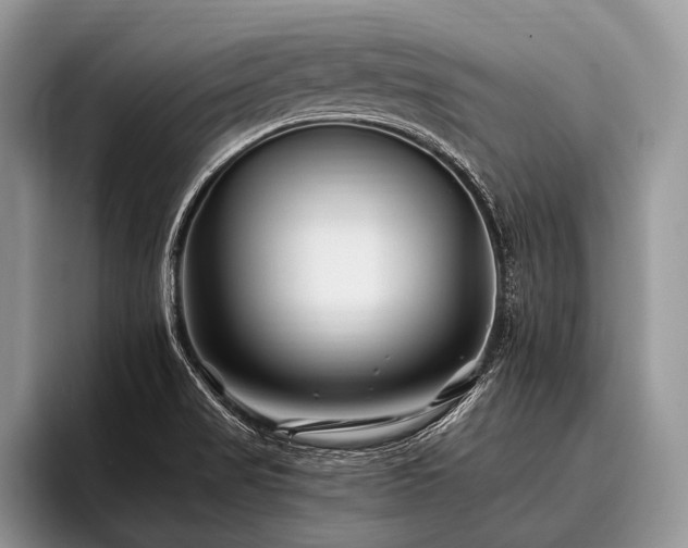 X0000096991517200802081417