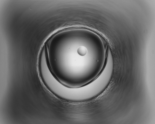 X0000096991518200802081417
