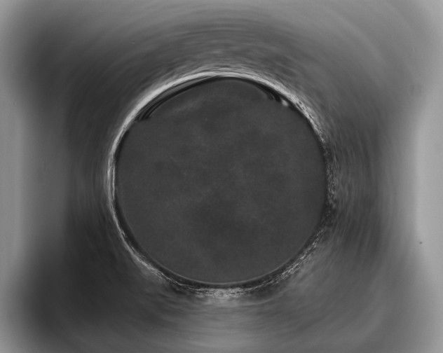 X0000096991519200802081417