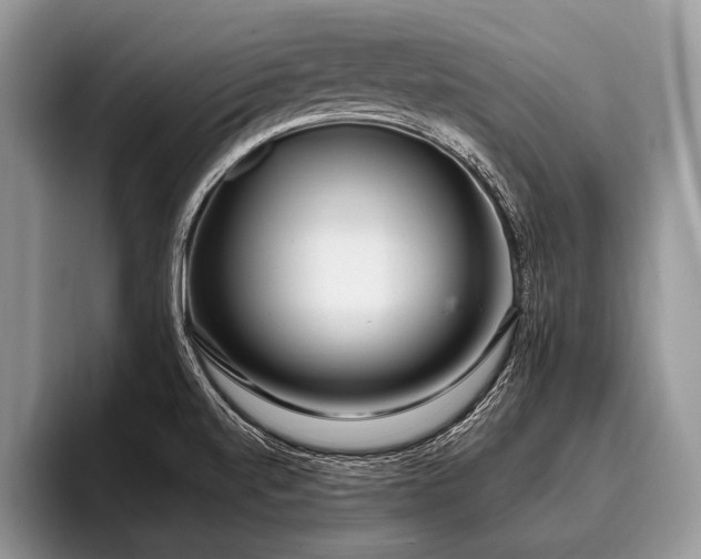 X0000096991520200802081417