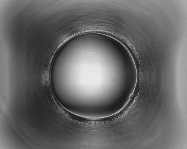 X0000096991521200802081417