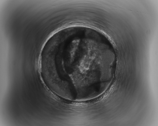X0000096991522200802081417