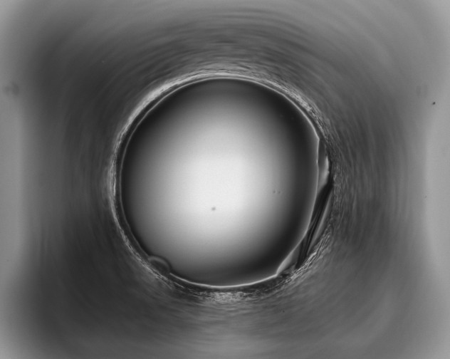 X0000096991523200802081417