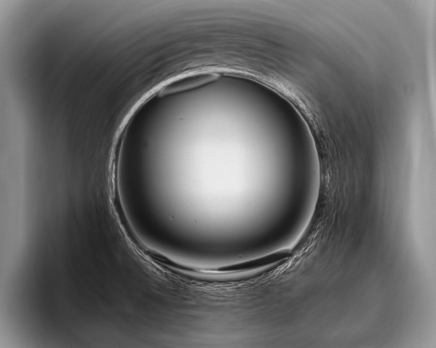 X0000096991524200802081417
