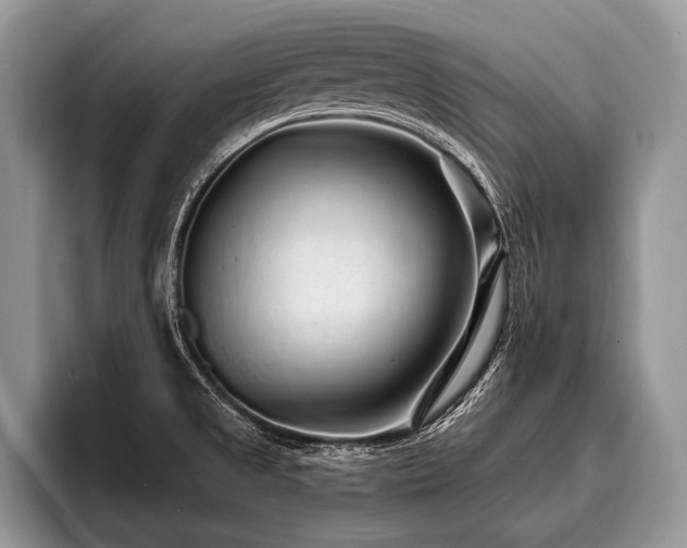 X0000096991525200802081417