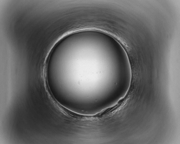 X0000096991526200802081417