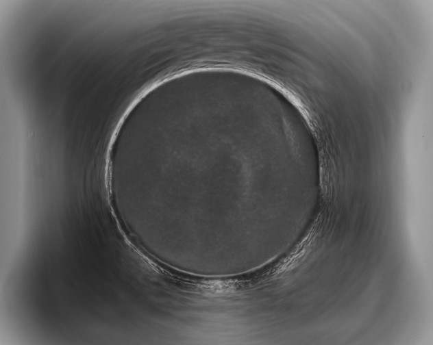 X0000096991527200802081417