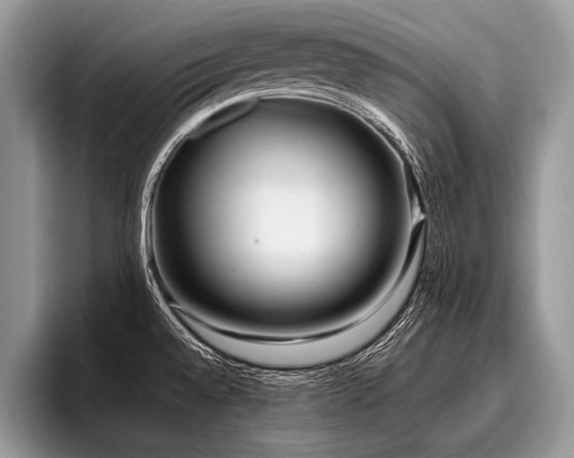 X0000096991528200802081417