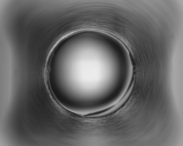 X0000096991531200802081417