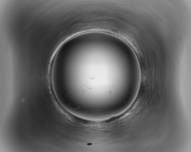X0000096991532200802081417