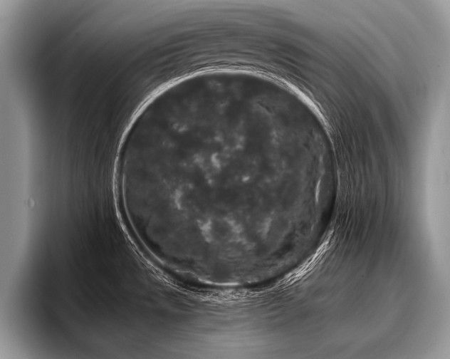 X0000096991533200802081417