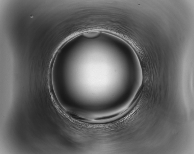 X0000096991534200802081417