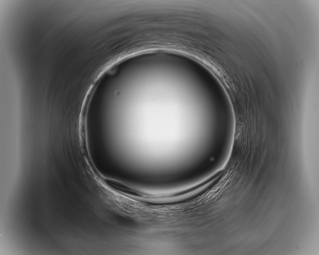 X0000096991535200802081417