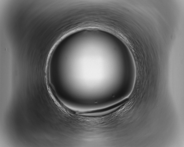 X0000096991536200802081417