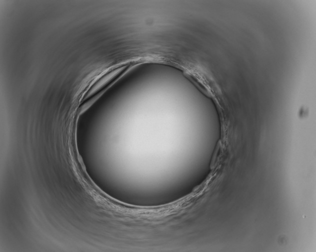 X0000096990001200802151402