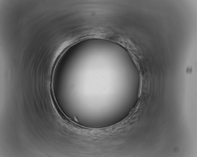 X0000096990003200802151402