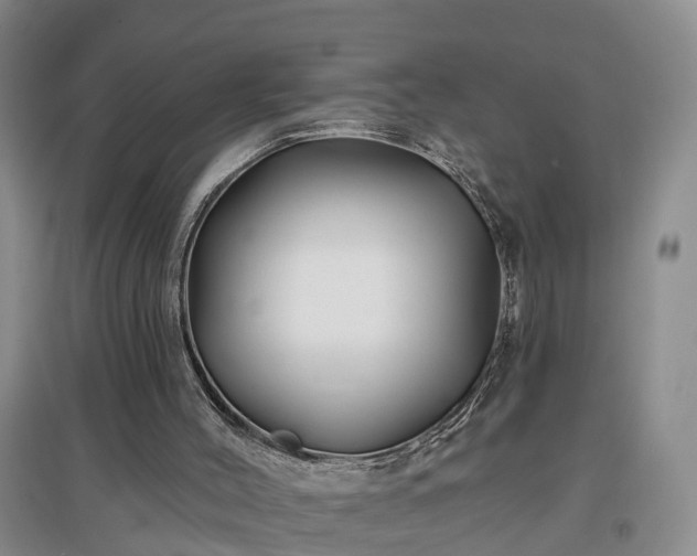 X0000096990004200802151402