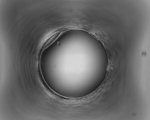 X0000096990005200802151402
