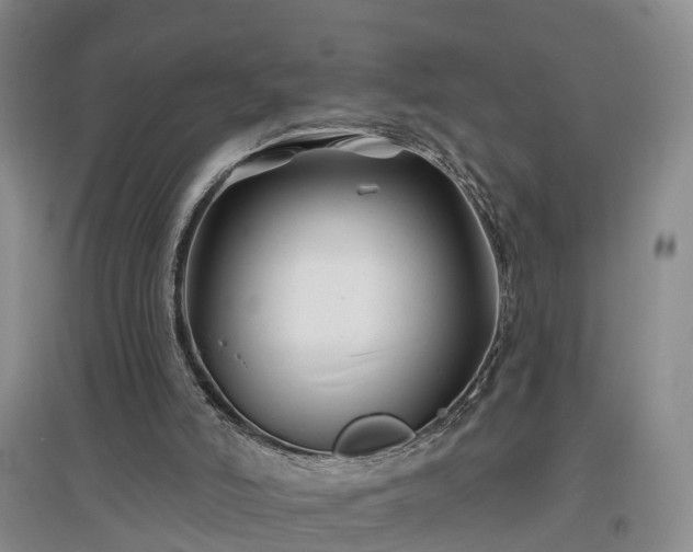 X0000096990006200802151402