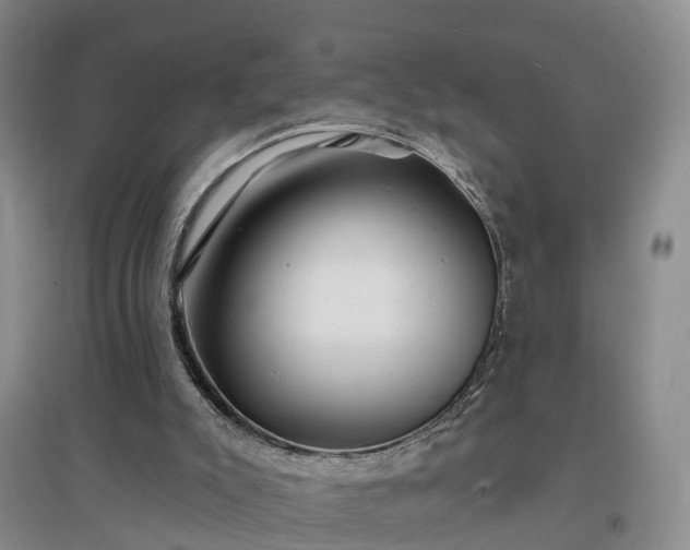 X0000096990007200802151402