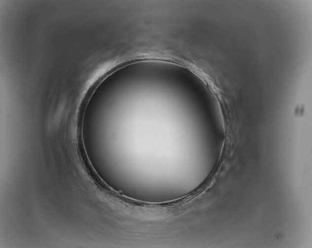 X0000096990008200802151402