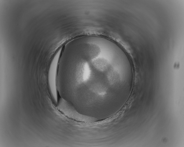 X0000096990009200802151402