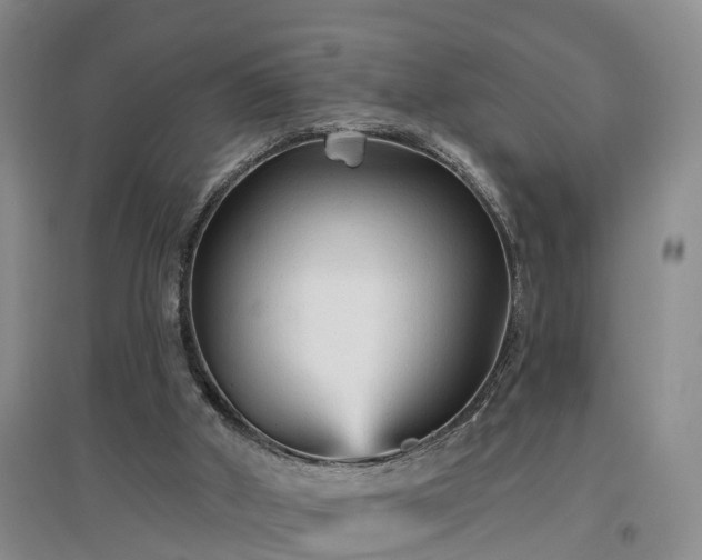 X0000096990010200802151402