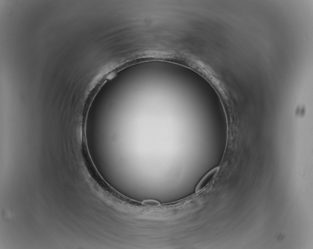 X0000096990011200802151402